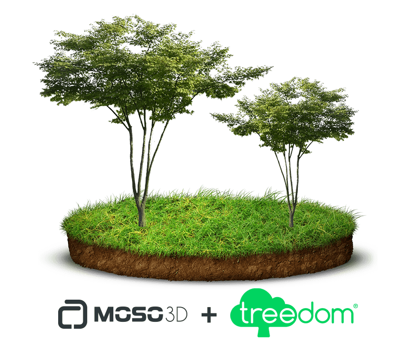 Planta un árbol Moso3D